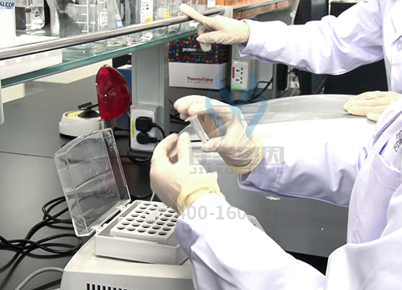 【佳学基因案例】肝豆状核变性基因检测、基因解码